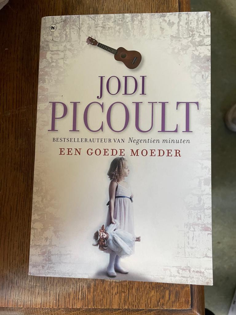 Jodi Picoult - Een Goede Moeder, Ophalen, Gelezen, Europa overig