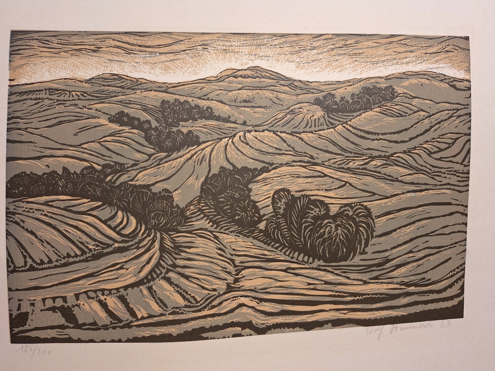 Linoografie Duinlandschap - Gesigneerd, Antiek en Kunst, Kunst | Litho's en Zeefdrukken, Gesigneerd, Ophalen of Verzenden, Landschappen