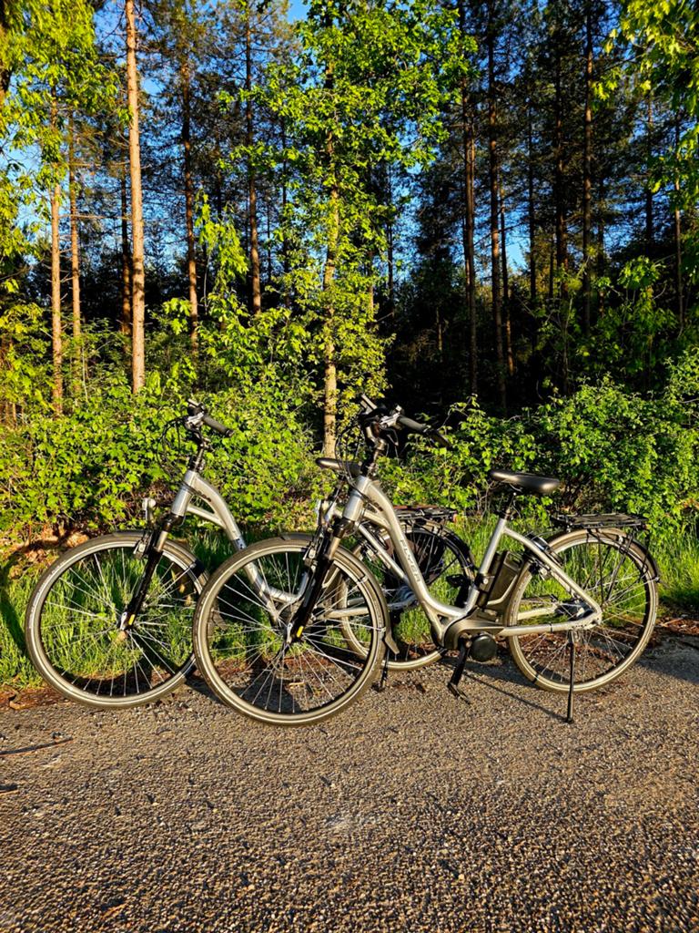 Heerlijk rijdende ebikes vanaf € 695 afspraak 06-21340570, Ophalen, Batavus, Zo goed als nieuw, 51 tot 55 cm
