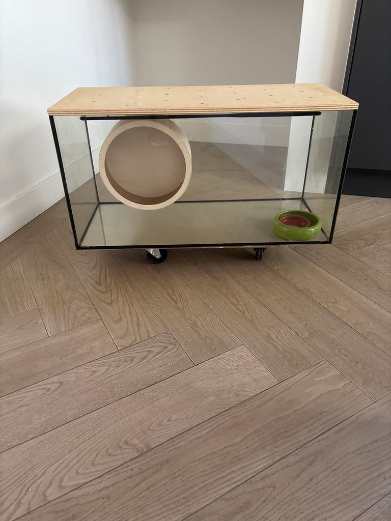 Glazen terrarium - knaagdier kooi -hamster hok, Ophalen, Hok, Hamster, Minder dan 60 cm