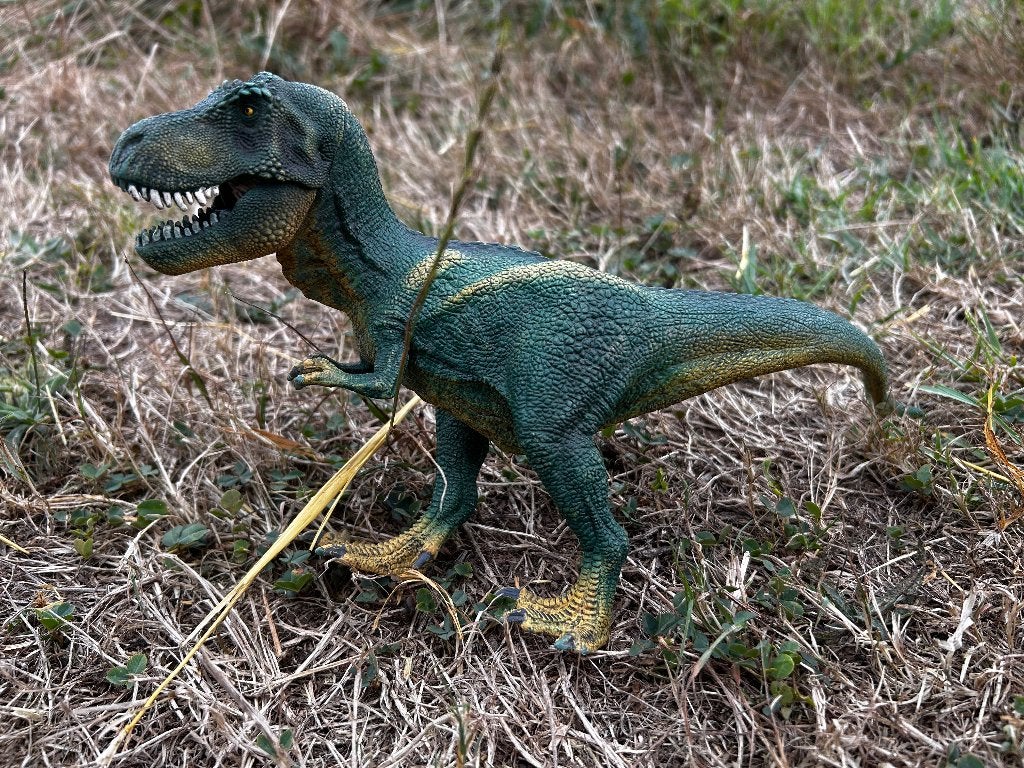 Grote partij Schleich dieren en dinosaurussen, Ophalen of Verzenden, Zo goed als nieuw, Wild dier, Beeldje of Figuurtje