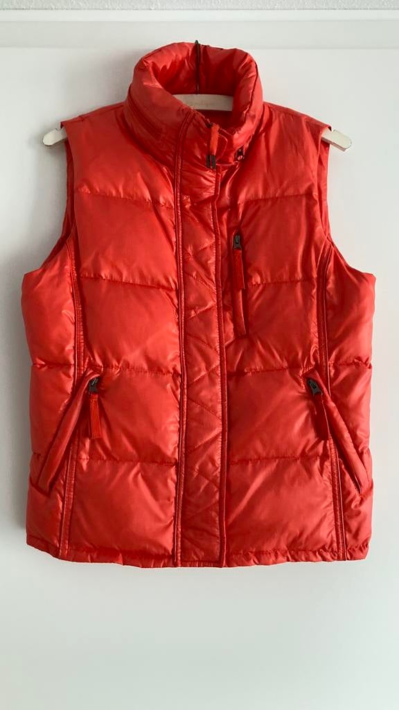 bodywarmer dames maat 36/38, merk JoopJeans!, Ophalen of Verzenden, Zo goed als nieuw, Maat 36 (S), Oranje