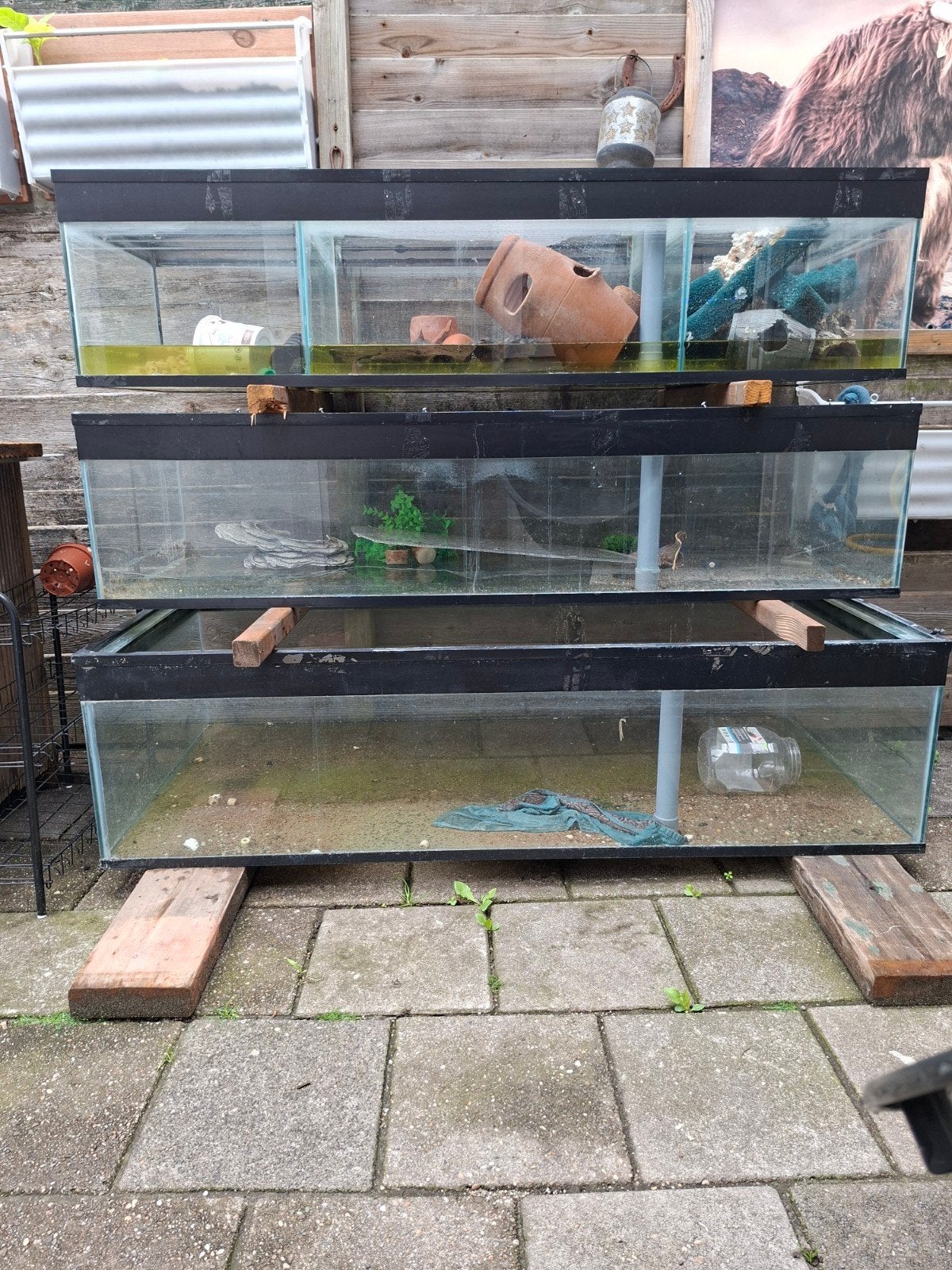 Aquarium stelling, Dieren en Toebehoren, Vis