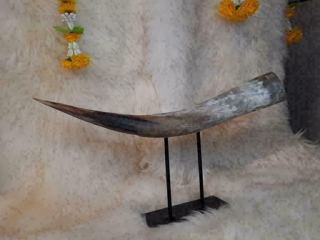 Watusi Hoorn Bewerkt op Luxe Stalen Voet, Verzenden, Westerndeco, Nieuw, Info@westerndeco.nl