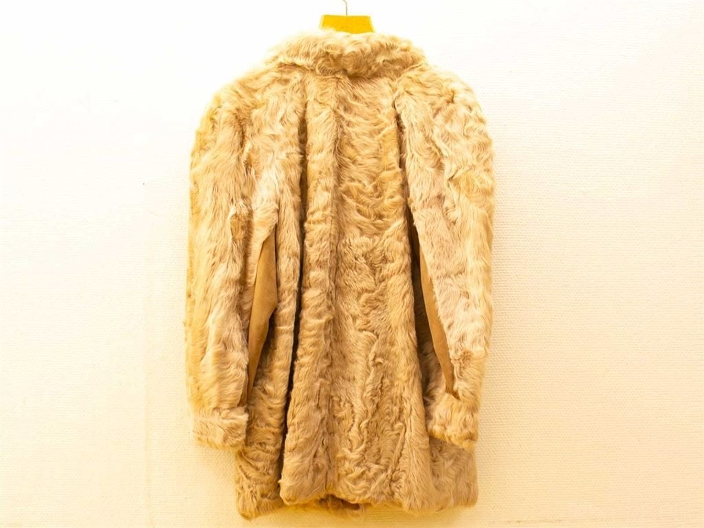 Dames jas van Heusen 31162, Ophalen of Verzenden, Gedragen