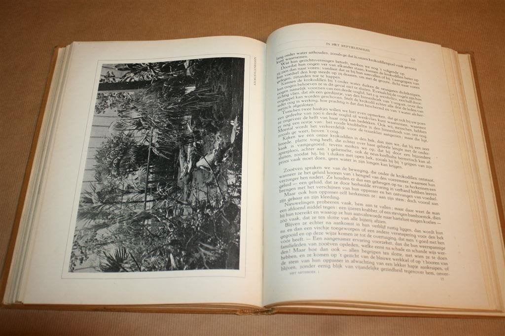 Het Artisboek Deel 1 — Antiek, Fotos van De Veer, 1922, Ophalen of Verzenden, Gelezen, Honden