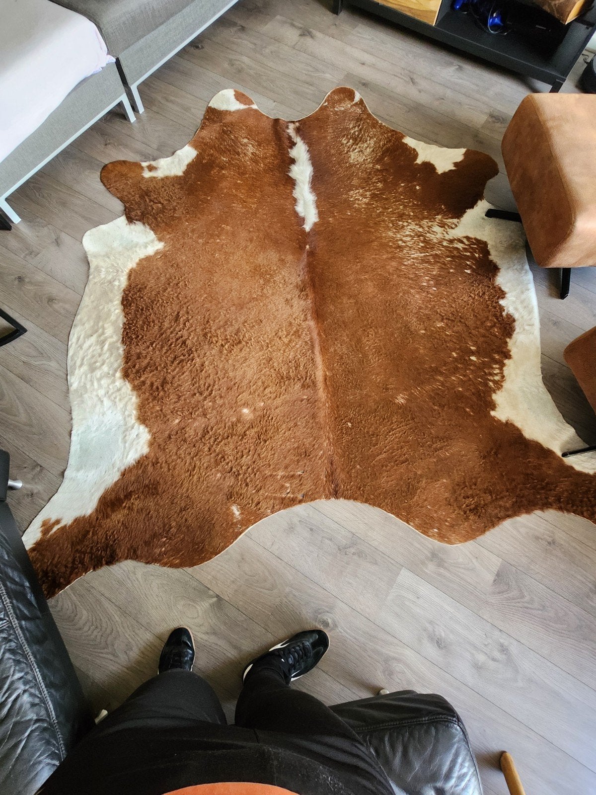 koeienhuid vloerkleed, Ophalen, Natuurlijk, Rustiek, Modern, Gebruikt, 200 cm of meer