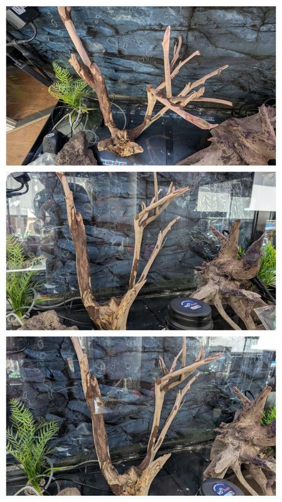 🐠Groot stuk kienhout aquarium b 45  h 55 kienhout te koop, Ophalen of Verzenden, Nieuw, Plant(en), Steen of Hout