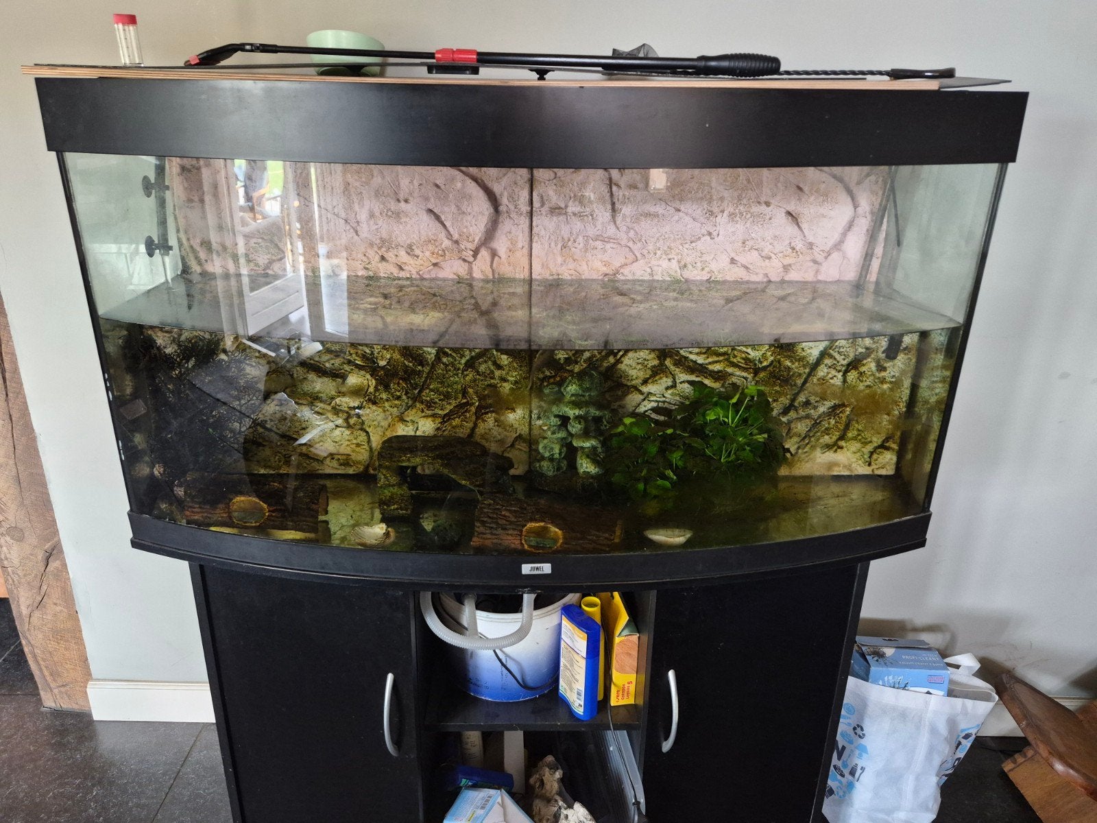 axolotl met grote aquarium, Ophalen, Inclusief toebehoren