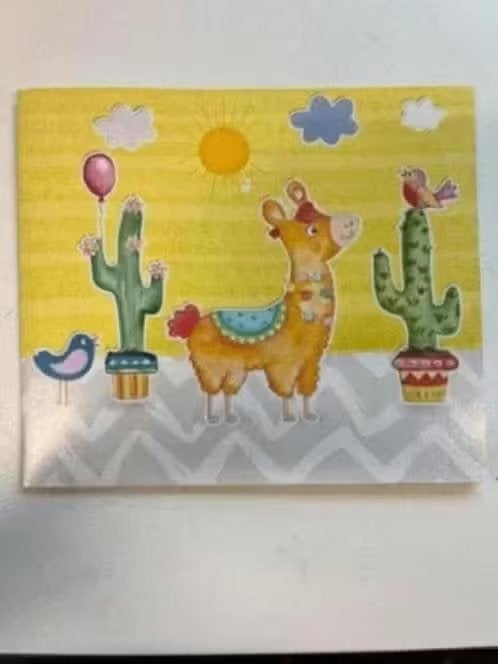NIEUW! Lama foto “lijst” karton doos 19 stuks 10,99, Ophalen of Verzenden, Nieuw