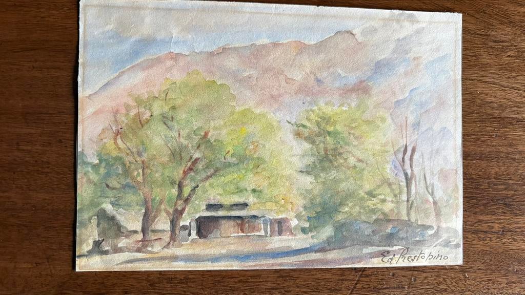 Aquarellen Ed Prestopino, Antiek en Kunst, Ophalen