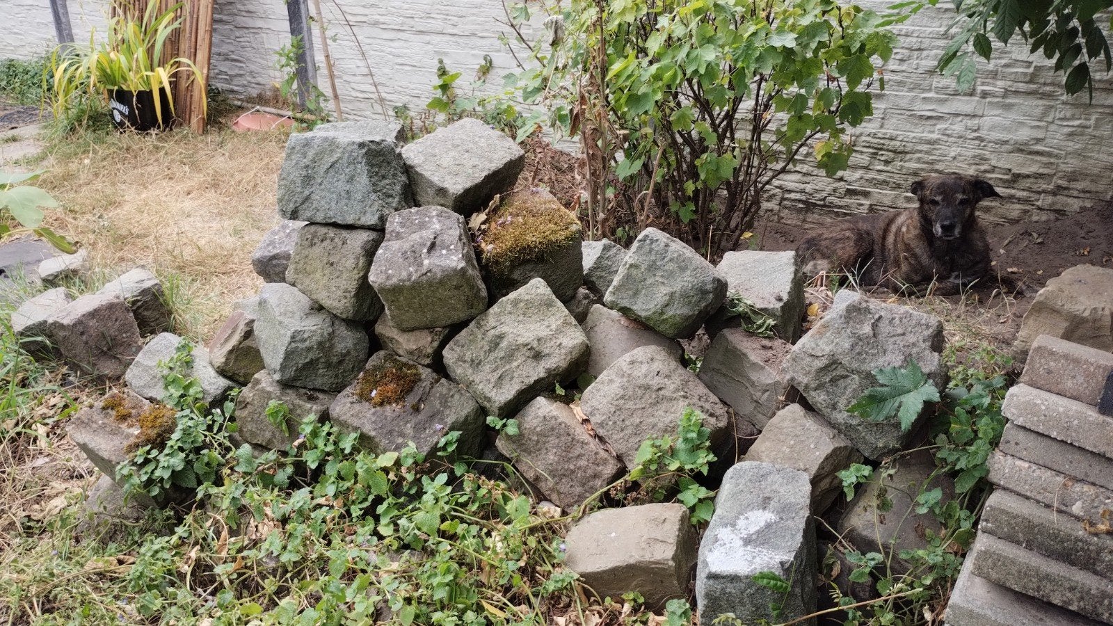 gratis natuurstenen/rotsblokken op halen in Eindhoven, Ophalen, Grijs, Overige typen