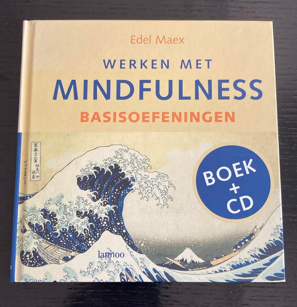 Edel Maex - Werken met Mindfulness - Basisoefeningen - NIEUW, Boeken, Meditatie of Yoga, E. Maex, Nieuw, Ophalen of Verzenden