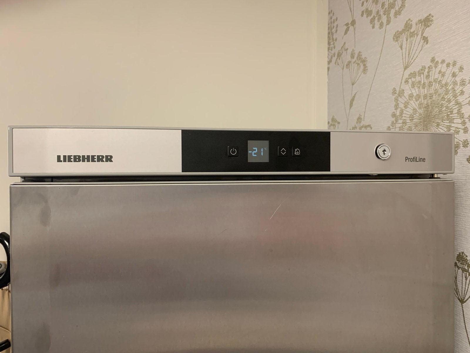Liebherr ProfiLine Vrieskast, RVS, Gebruikt, Gebruikt, 160 cm of meer, Ophalen, Vrieskast