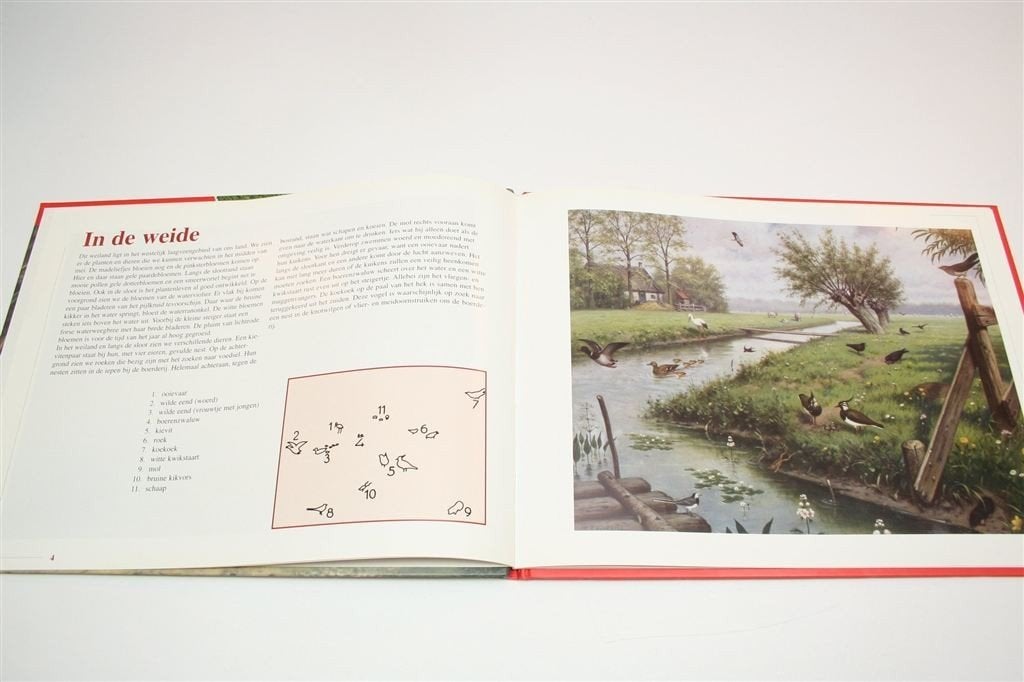 De Schoolplaat — In Ons Land — M.A. Koekkoek — Natuur, Boeken, Ophalen of Verzenden, Zo goed als nieuw