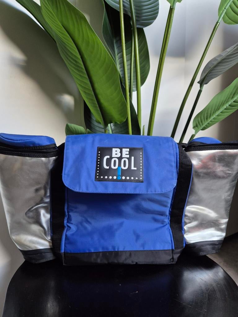 Be Cool koeltas - Ideaal voor picknick en dagjes uit, Caravans en Kamperen, Koelboxen, Gebruikt, Koeltas, Koelelement, Ophalen of Verzenden