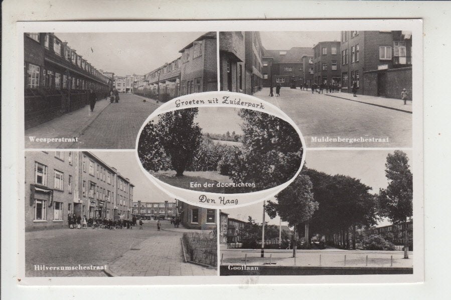 Den Haag, Groeten uit - Zuiderpark, Ophalen of Verzenden, 1940 tot 1960, Ongelopen, Zuid-Holland