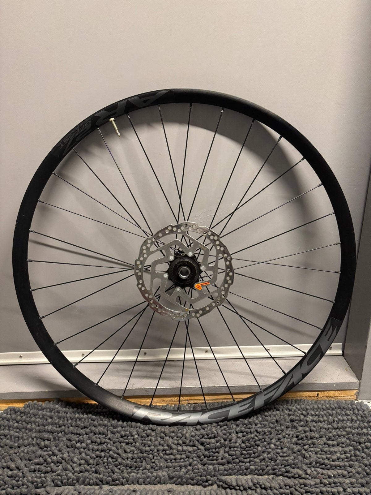 Aluminium mountainbike velgen 29, Ophalen, Gebruikt, Schijfrem, Overige merken