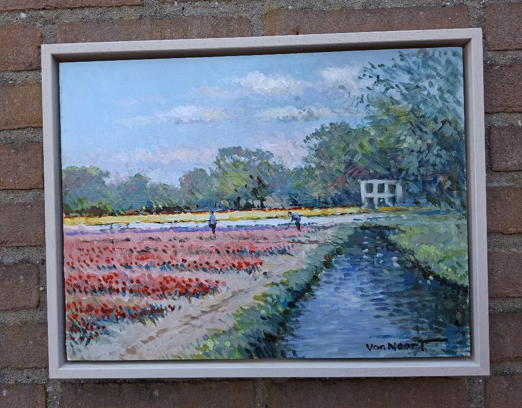 VAN NOORT , BOLLENVELD TE HEEMSTEDE, Antiek en Kunst, Kunst | Schilderijen | Klassiek, Ophalen of Verzenden