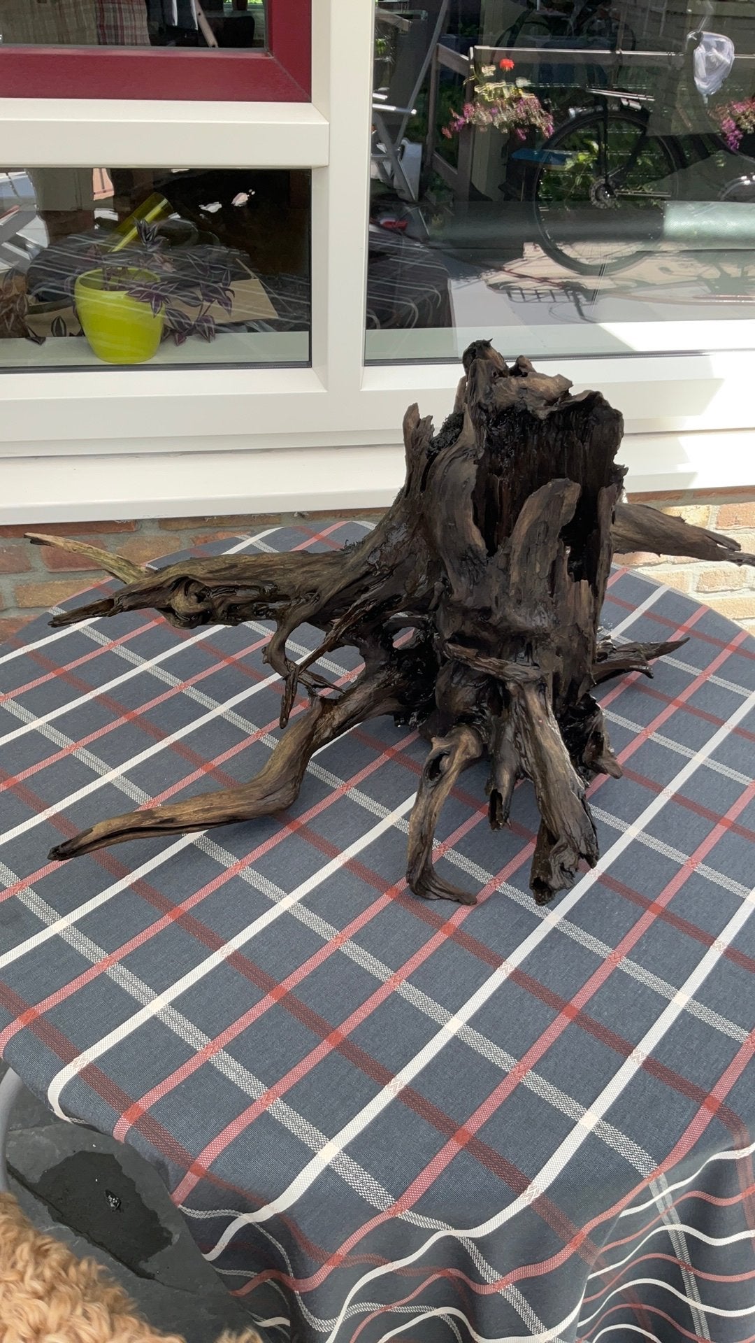 Aquarium hout, Dieren en Toebehoren, Ophalen of Verzenden, Plant(en), Steen of Hout
