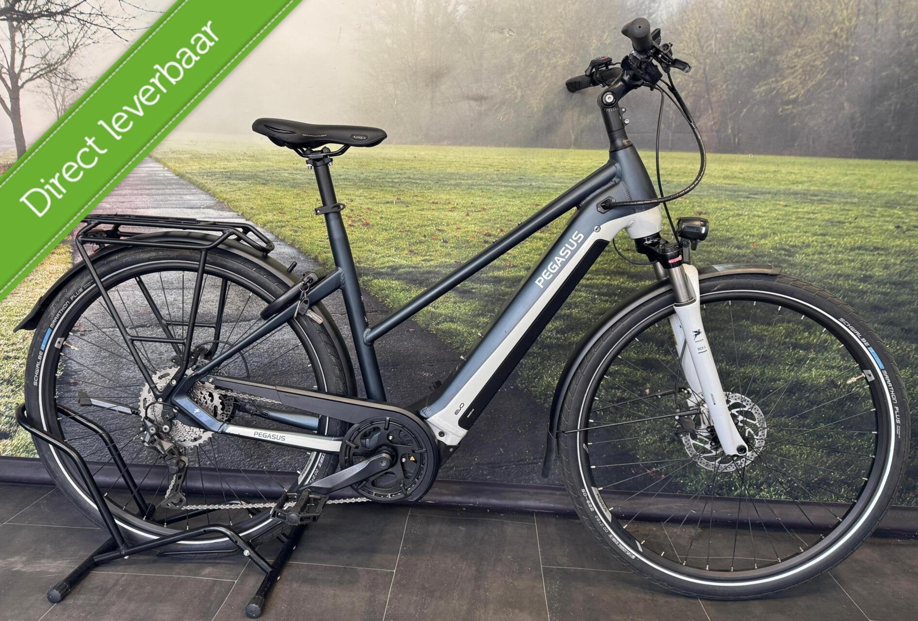 Pegasus Premio Evo 10 Lite - Electrische fiets - 750WH Accu, Overige merken, 55 tot 59 cm, Longericher Straße 2, 50739 Keulen, Duitsland
