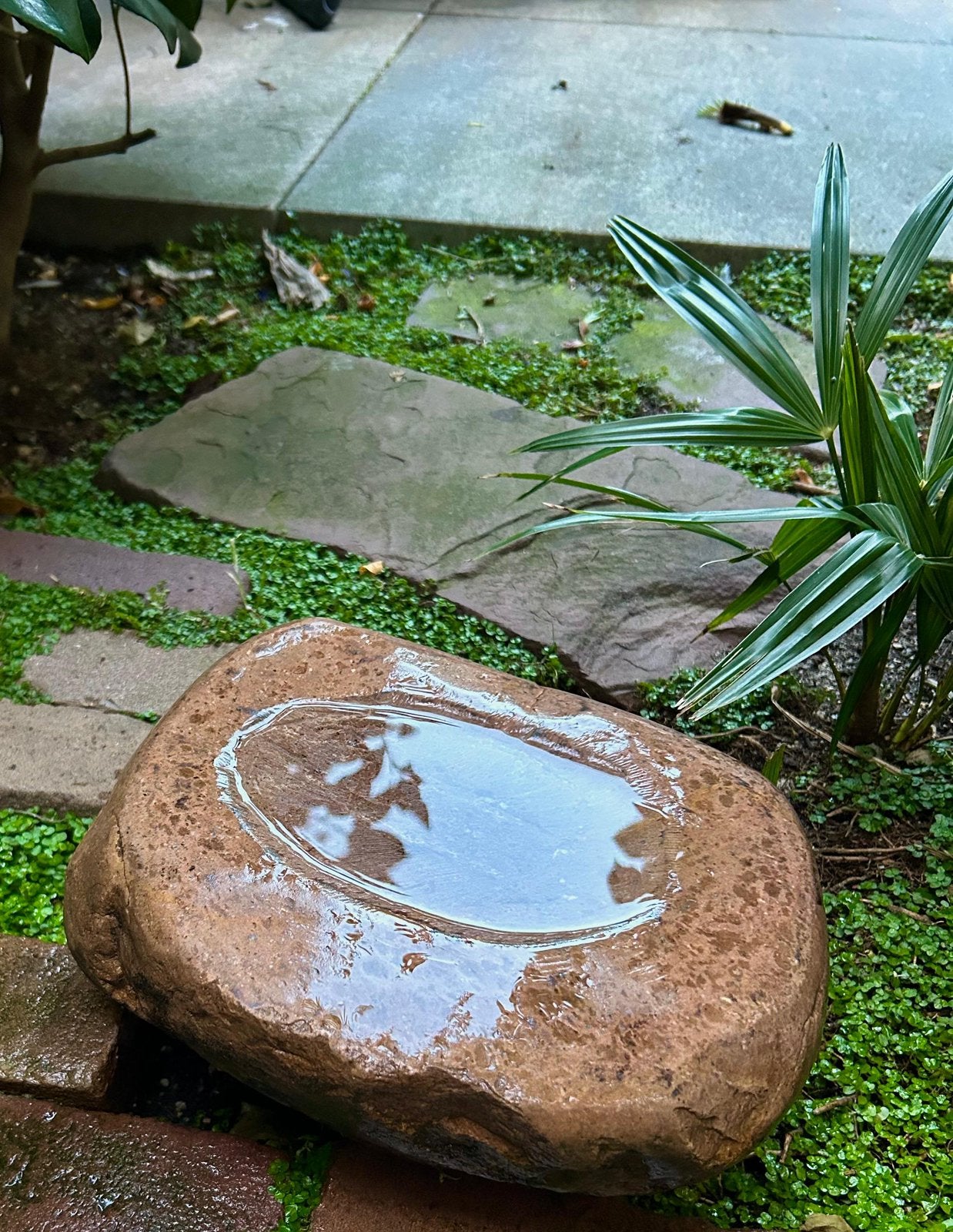 Japanse steen, Tuin en Terras, Waterpartijen en Fonteinen, Ophalen, Zo goed als nieuw, Beton, Waterornament