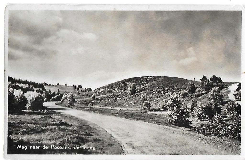 De Steeg weg naar Posbank  Ansichtkaart 1954  (B606 ), Ophalen of Verzenden, 1940 tot 1960, Gelopen, Gelderland