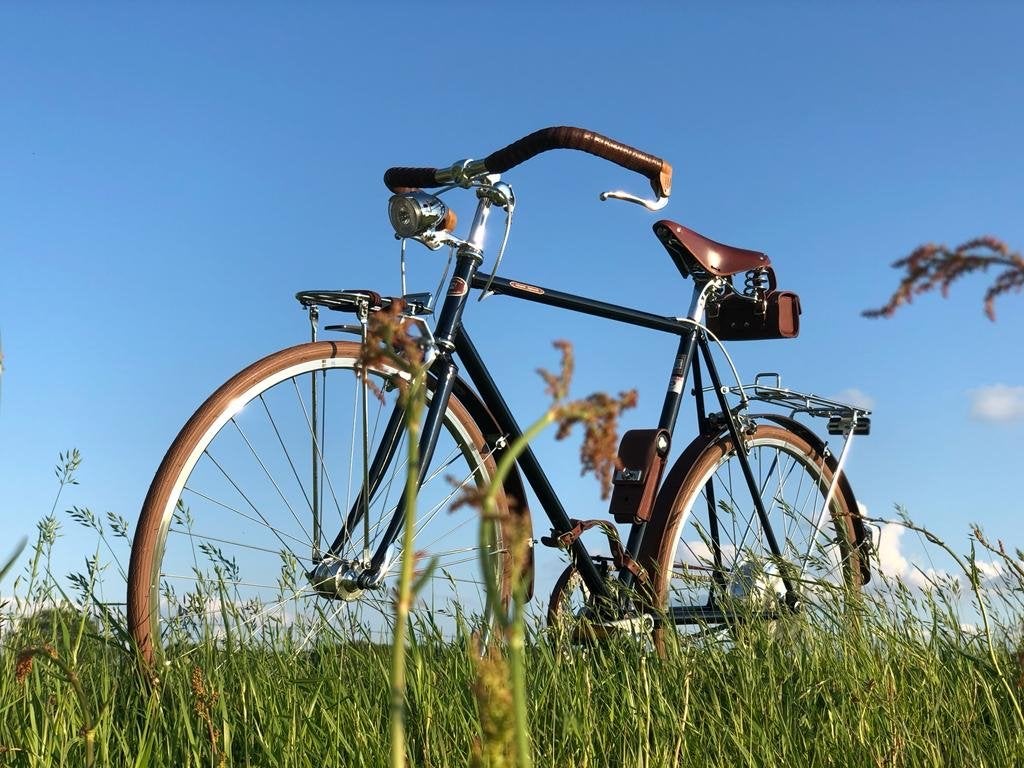 Bijzondere elektrische fiets Velochipede Foglia Verde, Fietsen en Brommers, Ophalen of Verzenden, Zo goed als nieuw, Overige merken