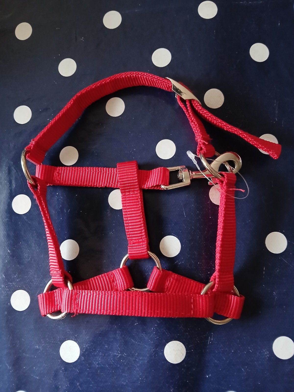 Hobby horse halster, Dieren en Toebehoren, Ophalen, Nieuw