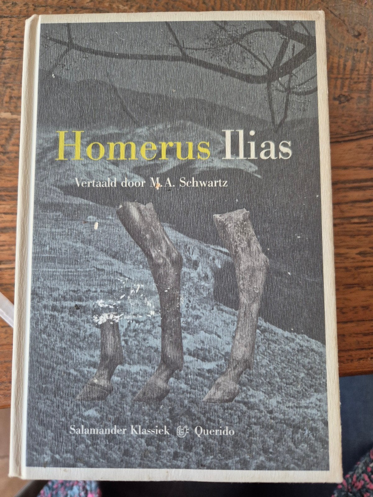 Homerus Ilias - Salamander Klassiek - Querido 2000, Boeken, Literatuur, Homerus, Ophalen of Verzenden, Zo goed als nieuw, Nederland
