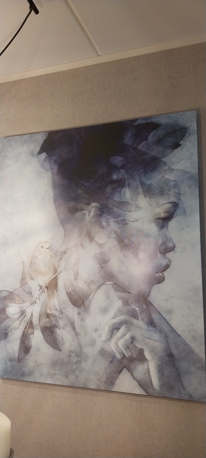 Canvas schilderij vrouw met vogel 90x110 cm, Ophalen, Textiel, Op houten frame, Figuren