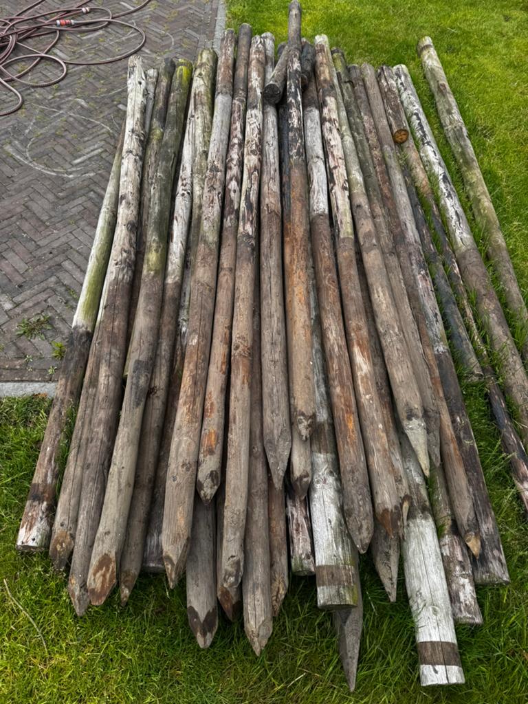 Houten palen, Tuin en Terras, Palen, Balken en Planken, Ophalen, Zo goed als nieuw, 250 cm of meer, Palen
