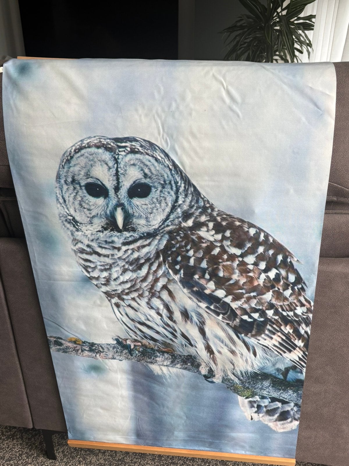 Uil op stoffe doek, Ophalen of Verzenden, Zo goed als nieuw, Schilderij