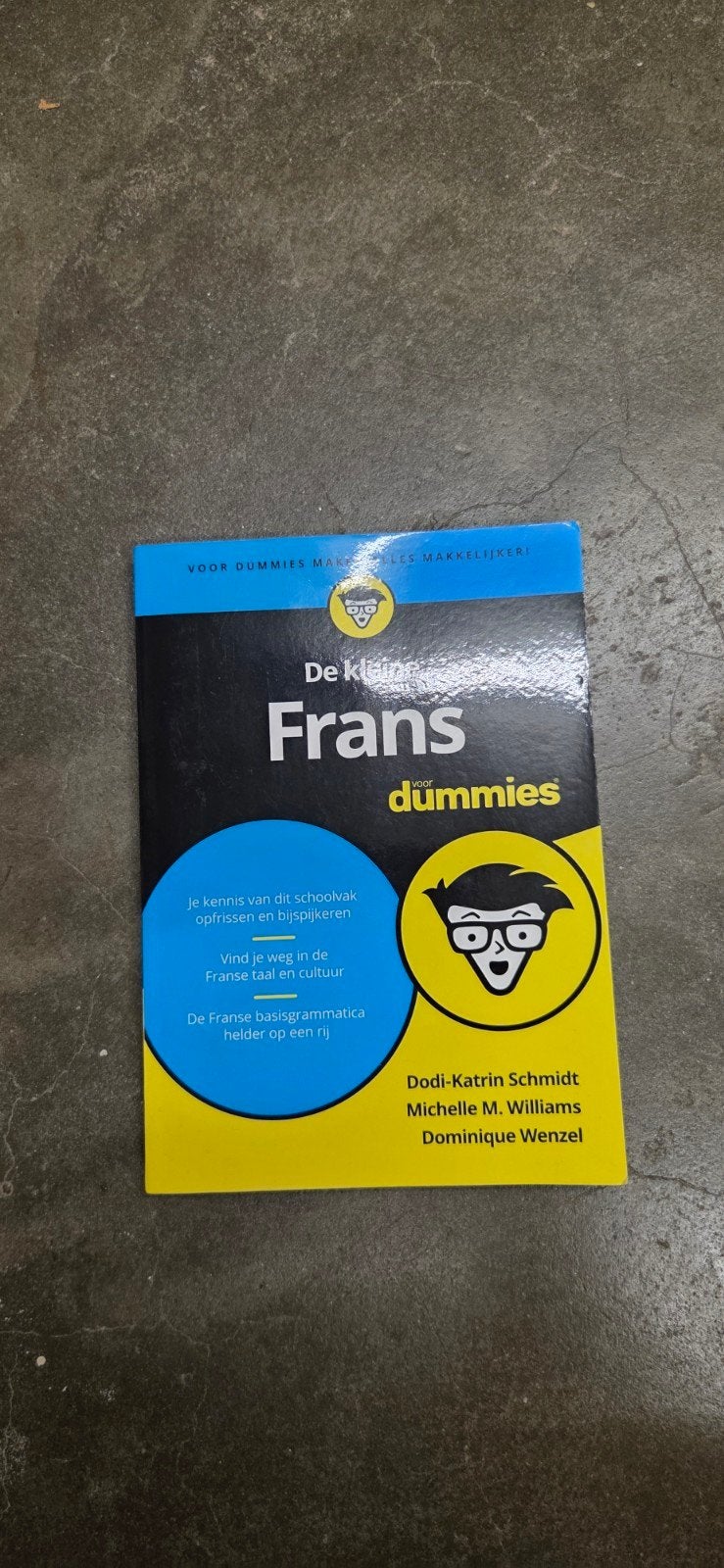 De Kleine Frans voor Dummies - Leer Frans gemakkelijk, Ophalen, Zo goed als nieuw, Dodi-Katrin Schmidt, Michelle M. Williams, Dominique Wenzel
