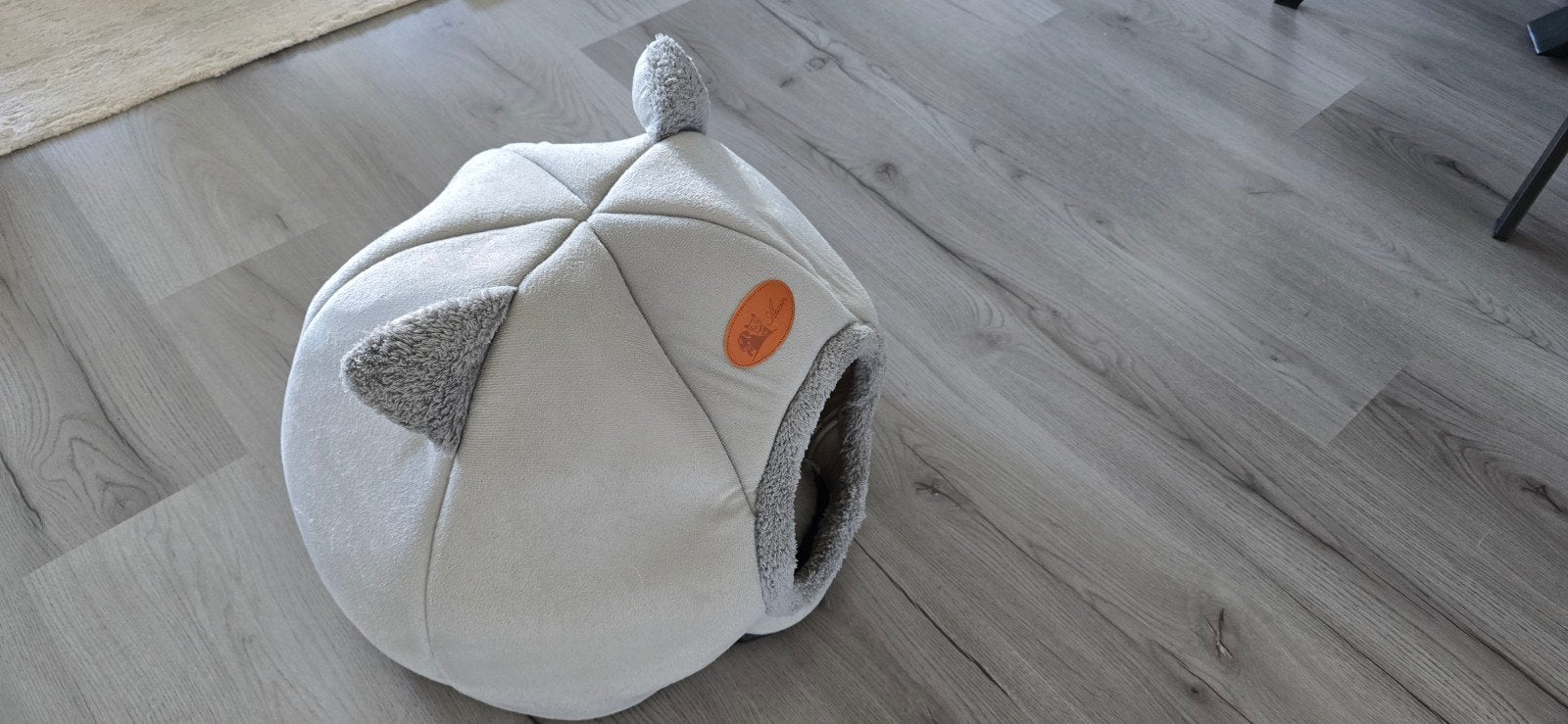 Kattenhuis- licht grijs, Meerdere dieren, Gechipt, 0 tot 2 jaar