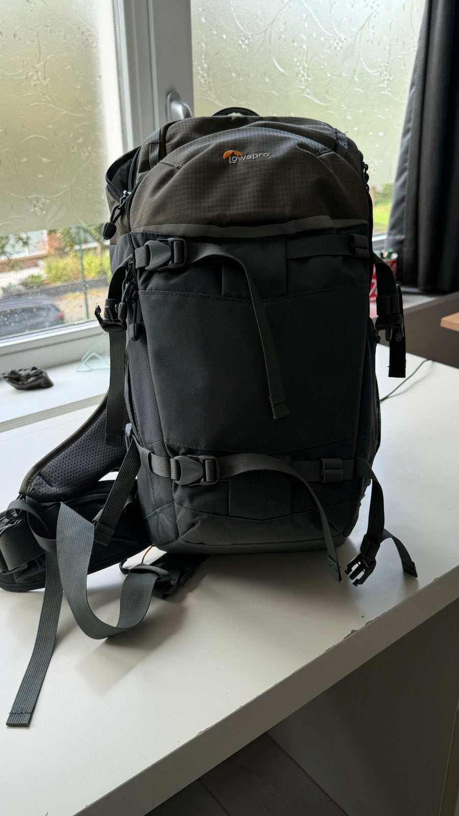 Lowepro Flipside Trek BP 350 AW II Cameratas Rugzak, Ophalen, Lowepro, Rugtas, Gevoerd