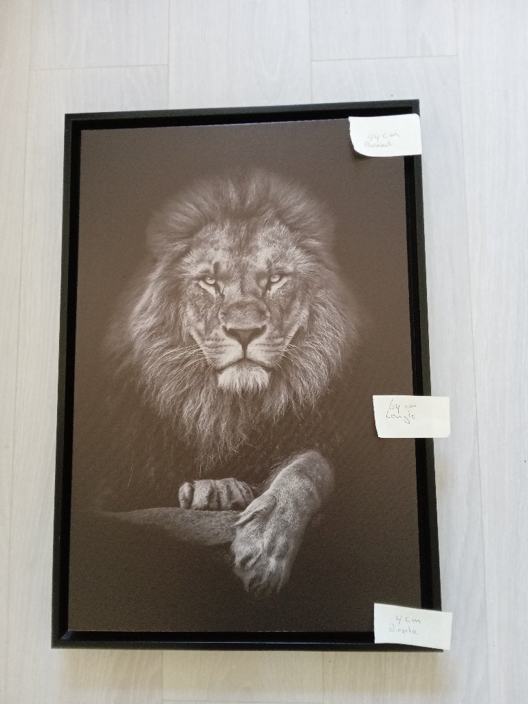 2 canvas schilderijen., Ophalen, Gebruikt, 64 cm, Schilderij