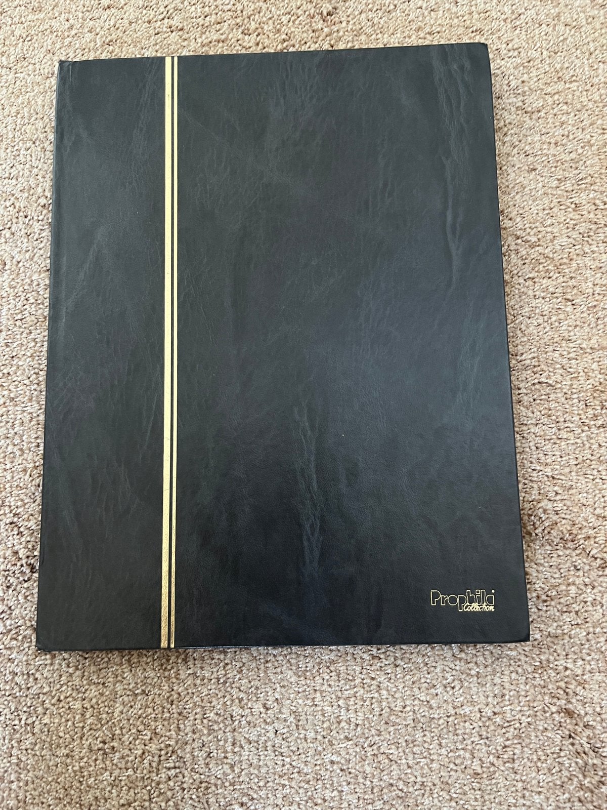 Een zeer net postzegelalbum Sovjet Unie, Ophalen of Verzenden, Buitenland