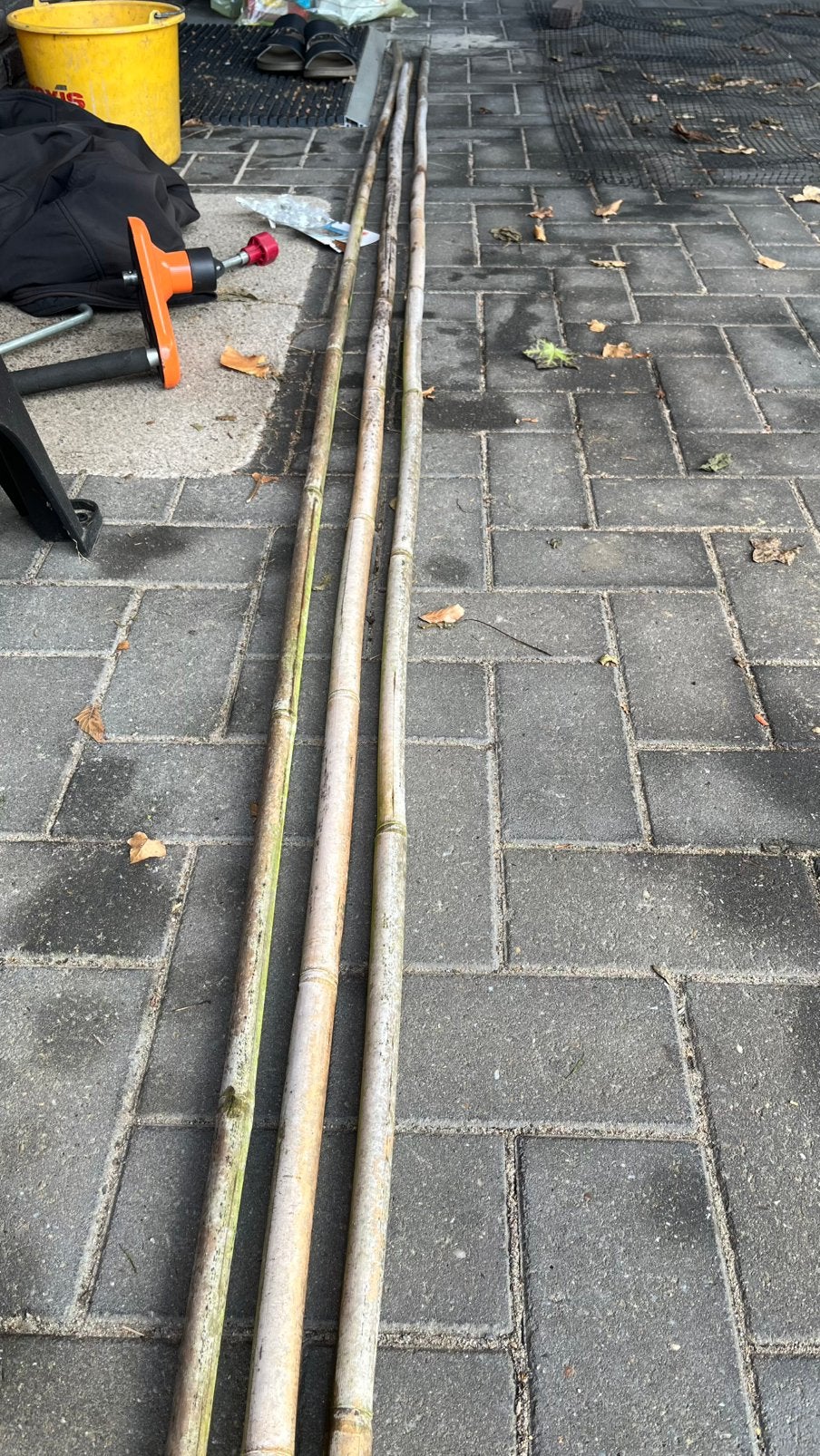 GRATIS afhalen drie lange bamboestokken van ruim 3m, Tuin en Terras, Ophalen, Zo goed als nieuw, 250 cm of meer, Planken