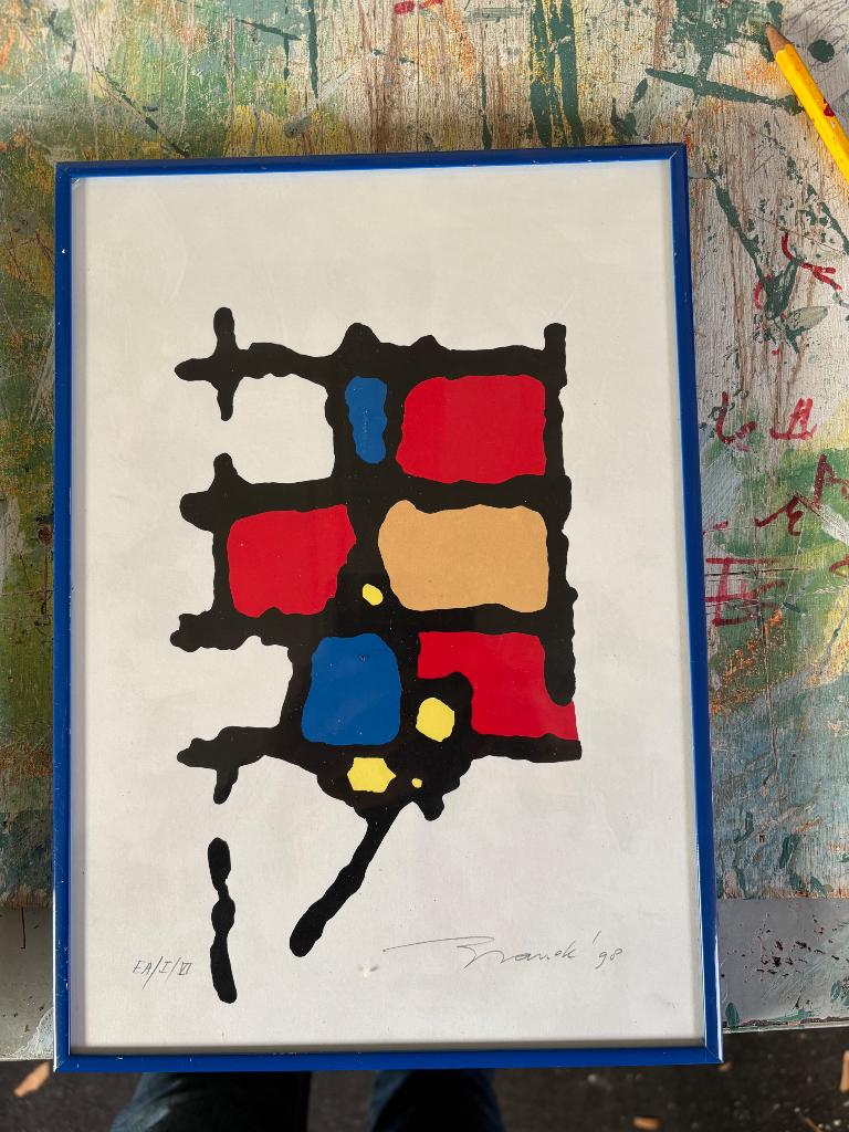 Willem Brauckmann - handgesigneerde grafiek, Ophalen