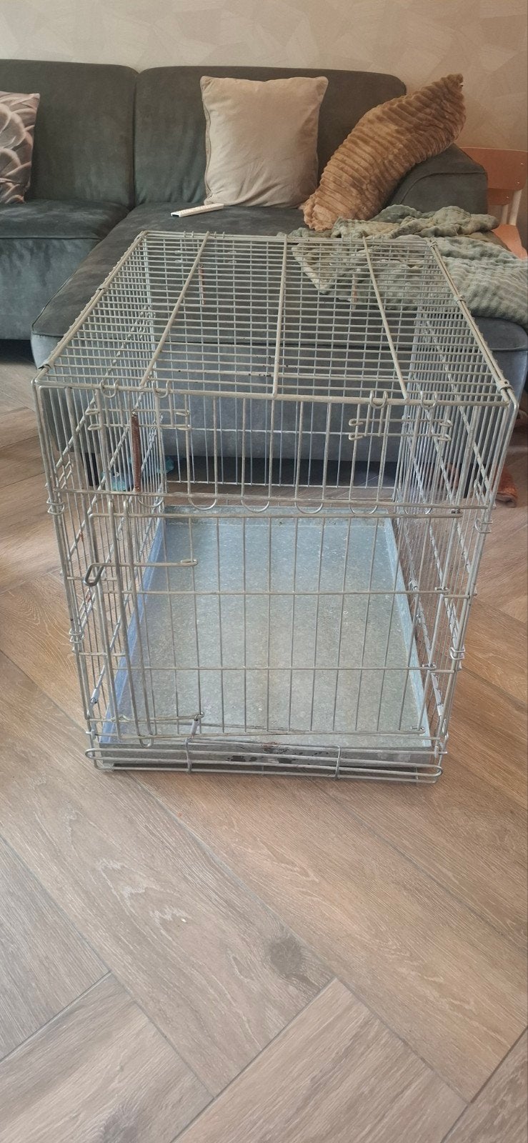 Honden bench, Dieren en Toebehoren, Ophalen, Gebruikt, Minder dan 75 cm, Minder dan 65 cm