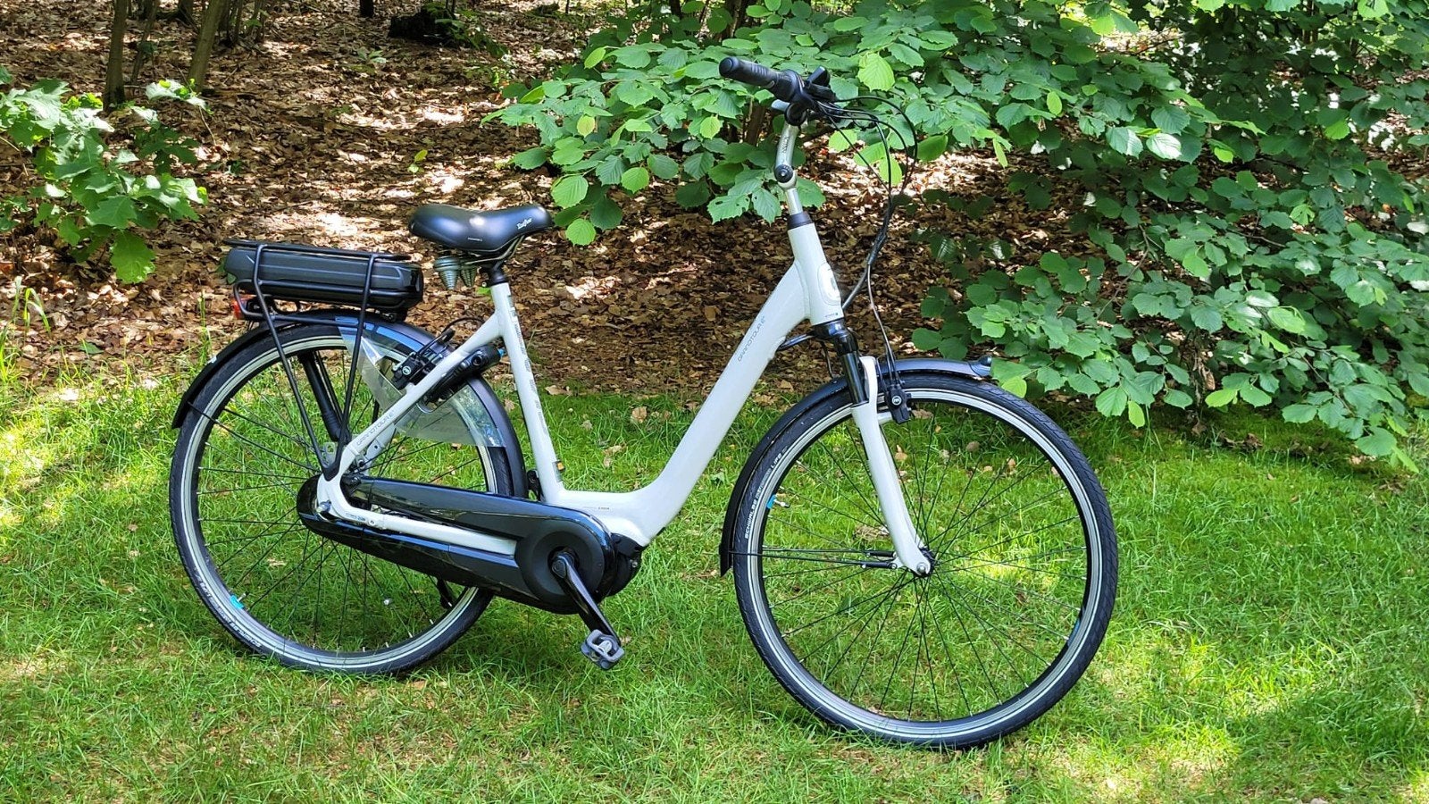 Elektrische fiets Giant GrandtourE +, Ophalen, Giant, Zo goed als nieuw, 51 tot 55 cm