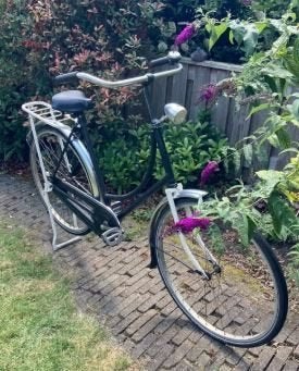 Goede Omafiets. Framemaat is 58 cm., Fietsen en Brommers, Ophalen, Terugtraprem, Gebruikt, 56 cm of meer