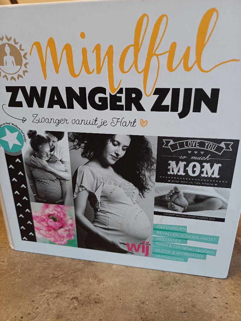 MINDFUL  ZWANGER ZIJN, Ophalen of Verzenden, Zo goed als nieuw, Gezondheid en Conditie