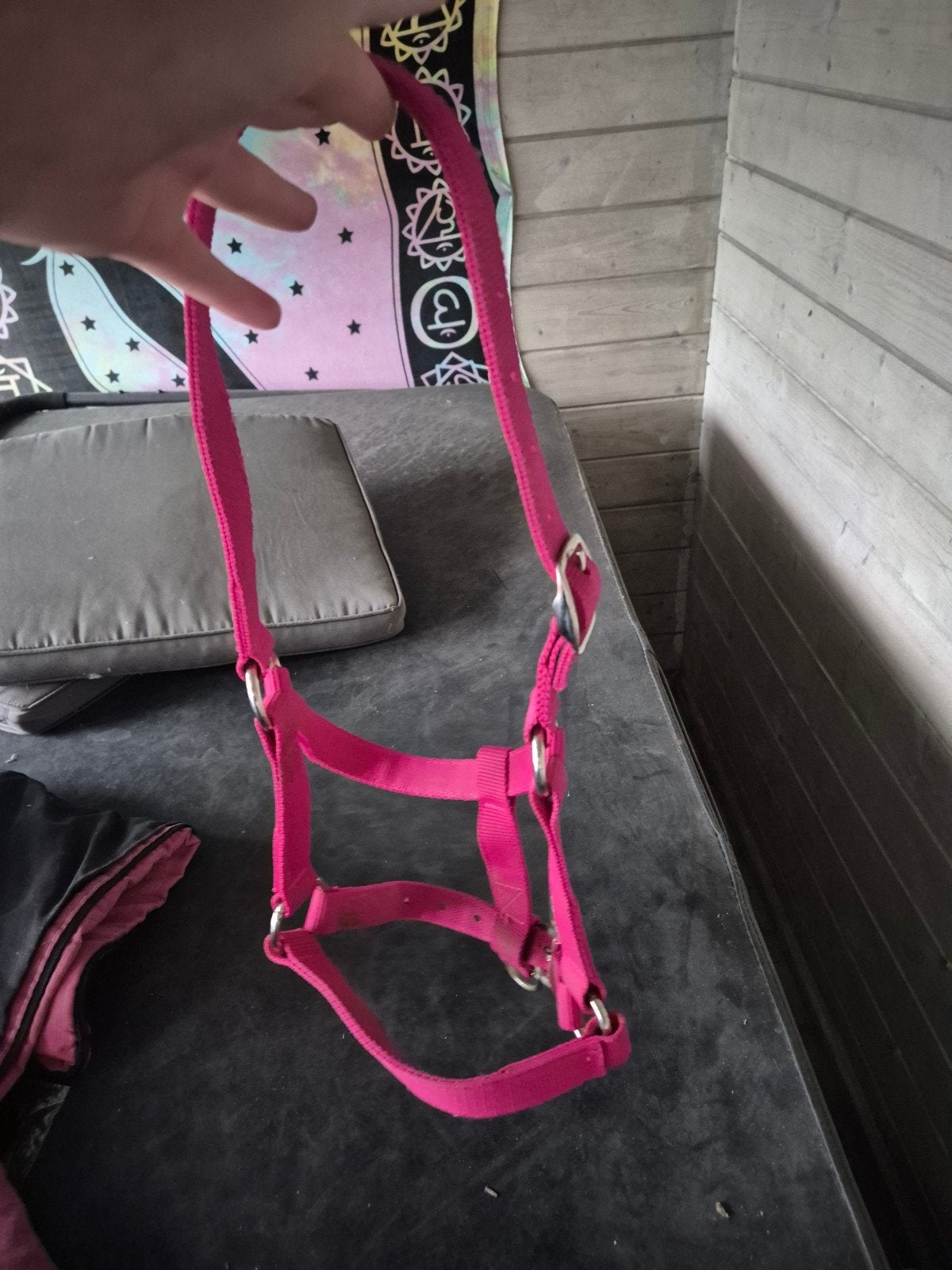 pony halster te koop, Recreatie, Zo goed als nieuw, Halster, Ophalen of Verzenden
