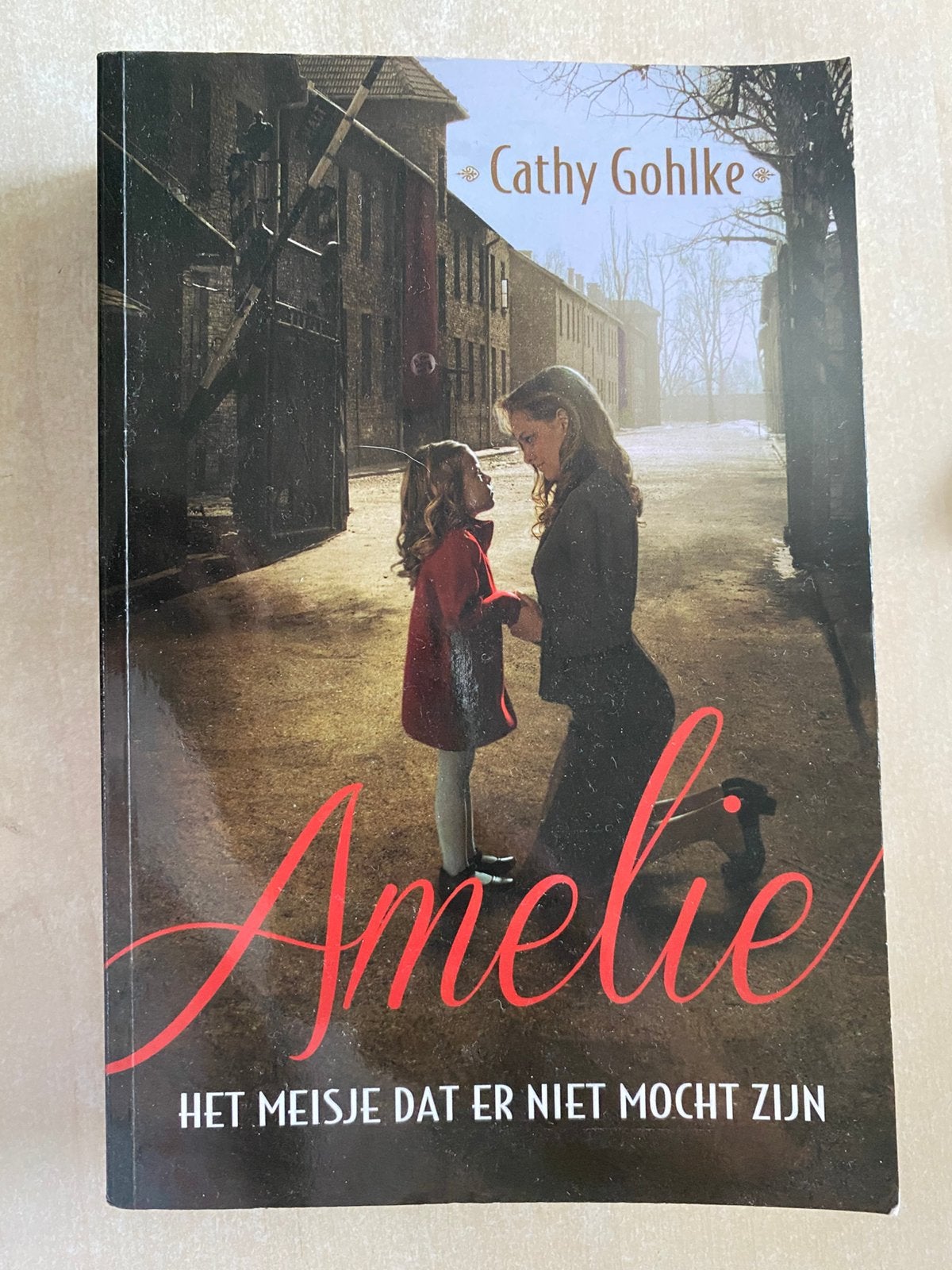 Amelie, het meisje dat er niet mocht zijn (Cathy Gohlke), Ophalen of Verzenden, Zo goed als nieuw