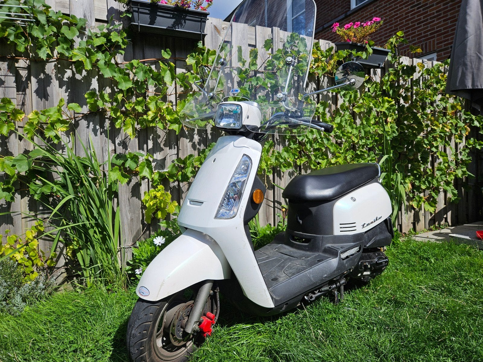 Sym Tonik 50cc scooter, Ophalen, Gebruikt, Overige modellen, Maximaal 45 km/u