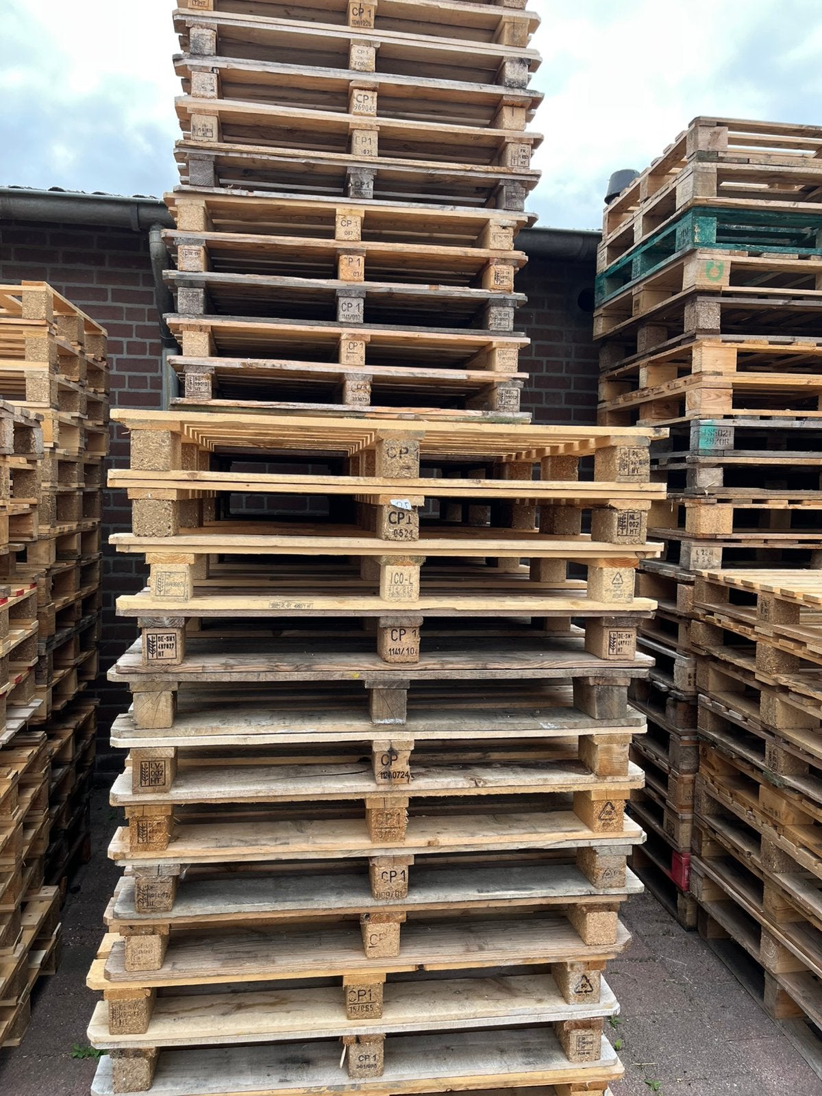 Cp1 pallets gebruikt, Ophalen of Verzenden, Zo goed als nieuw, 50 mm of meer, Pallet