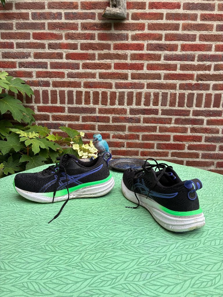 Asics Gel Pulse 17, Ophalen, Hardloopschoenen, Zo goed als nieuw, Hardlopen