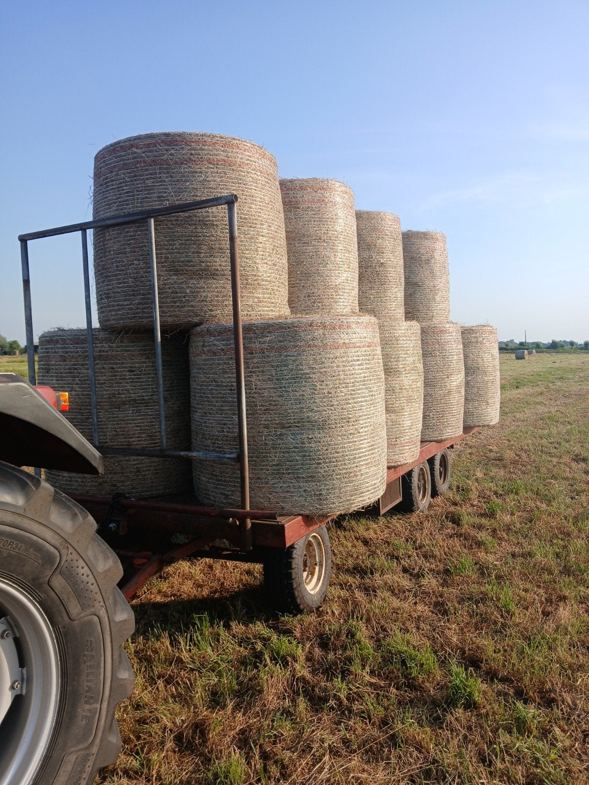 Ronde balen hooi / hooibalen  (zonder folie ), Dieren en Toebehoren, Ophalen of Verzenden, Vee